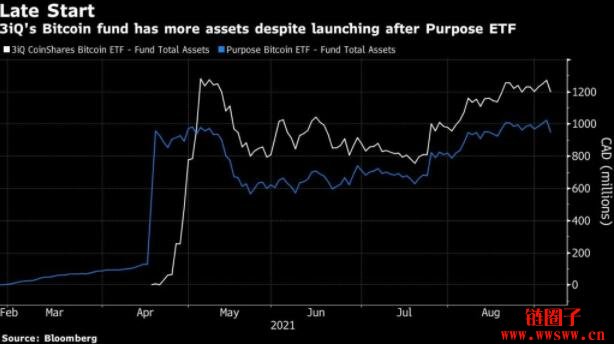赢者通吃？加拿大比特币ETF BTCQ后来居上插图